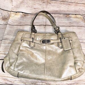 COACH Chelsea Metallic Sparkle Hobo Purse